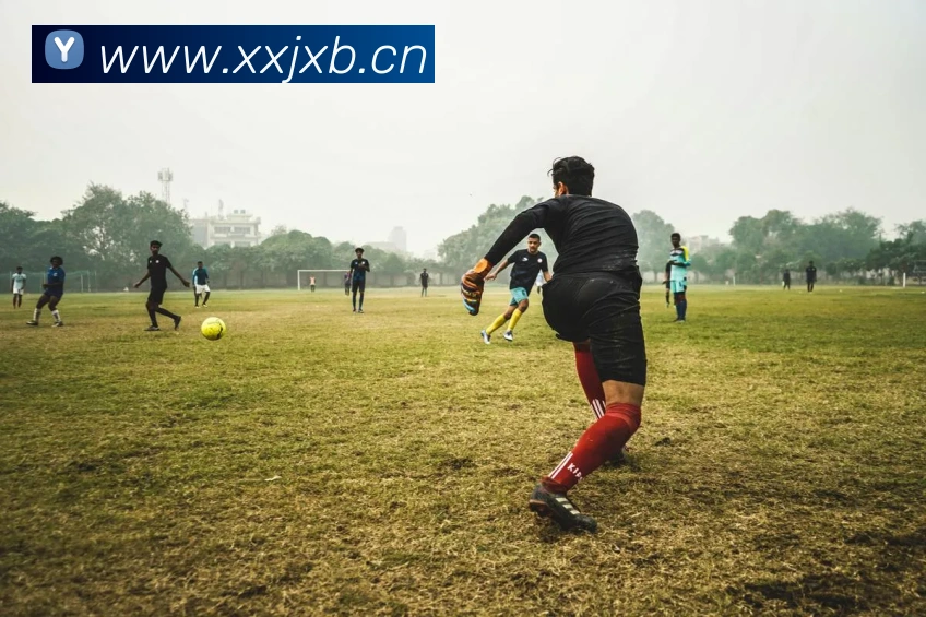 milan米兰官网入口平台生态图